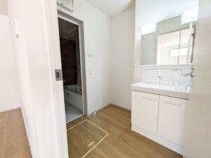 s{ss匴㗢gt̐VzˌĂ̐ʑEʏ