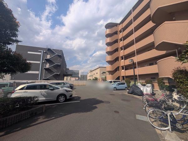 s{Fsꠓڐ 52̒Ã}V̉摜