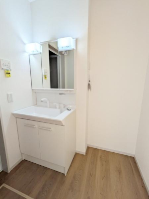 s{ssk{tR̐VzˌĂ̐ʑEʏ