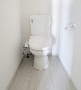 s{ssE捵Y̐VzˌẴgC