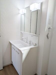 s{ssE捵Y̐VzˌĂ̐ʑEʏ