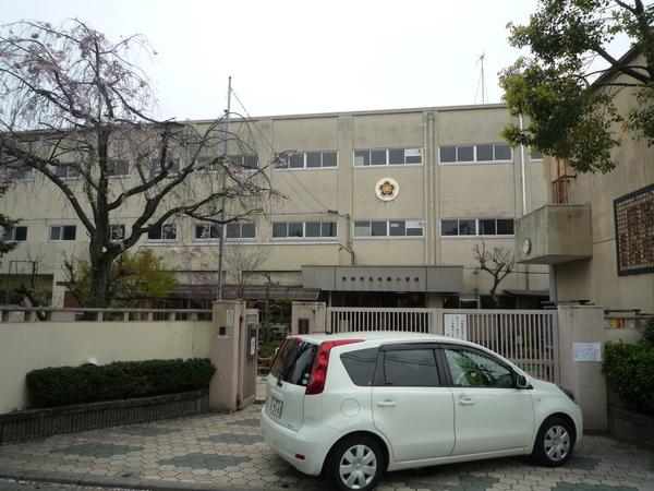 s{ssE摾`m䒬 24-19̒Ã}V̎ӊ