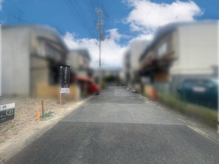 s{ss쓇㒬̓yn̑OʓH܂ތnʐ^