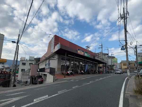 s{ss匴㗢̐VzˌĂ̎ӊ