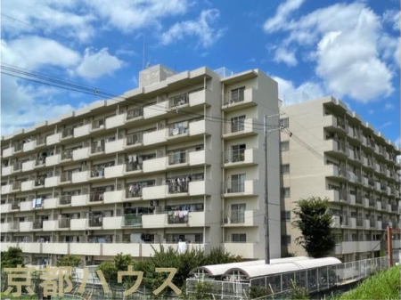 ���s�{���s�s���v����v���� 542�̒��Ã}���V�����̌��n�O�ώʐ^