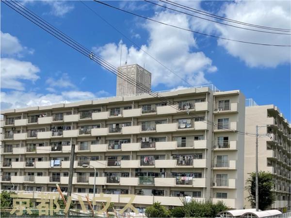 ���s�{���s�s���v����v���� 542�̒��Ã}���V�����̂��̑����n