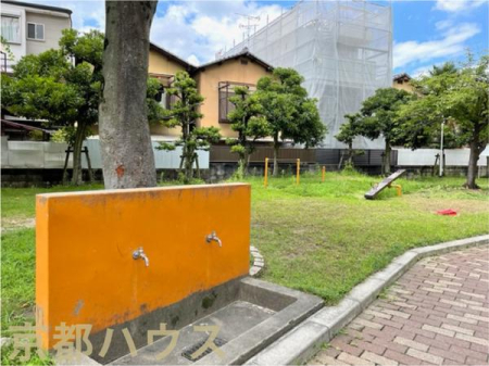 ���s�{���s�s���v����v���� 542�̒��Ã}���V�����̂��̑����p��