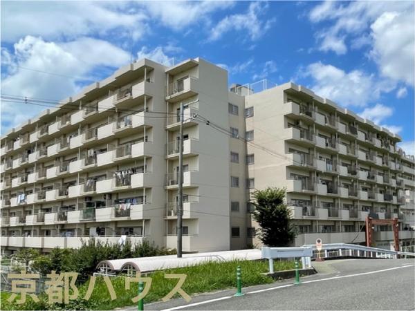 ���s�{���s�s���v����v���� 542�̒��Ã}���V�����̂��̑�