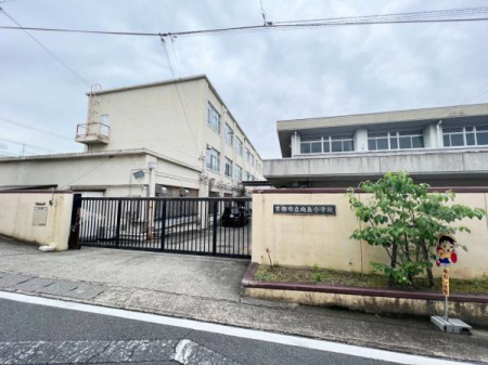 s{ssM\̐VzˌĂ̎ӊ