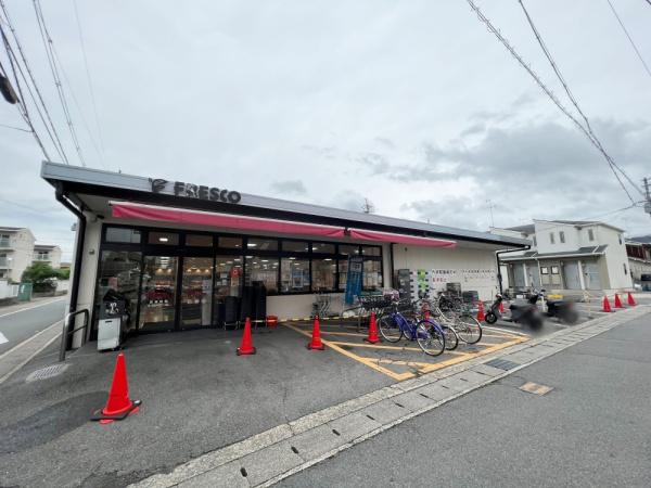 s{ssM\̐VzˌĂ̎ӊ