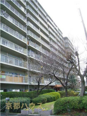 s{ss擌𐼉͕Ӓ 41-3̒Ã}V̂̑n