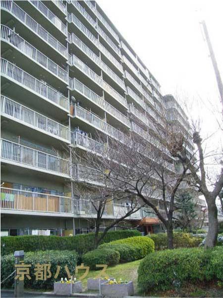 s{ss擌𐼉͕Ӓ 41-3̒Ã}V̂̑n