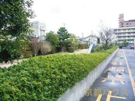 s{ss擌𐼉͕Ӓ 41-3̒Ã}V̂̑n