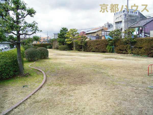 s{ss擌𐼉͕Ӓ 41-3̒Ã}V̂̑n