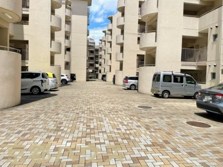 s{ssvv 542̒Ã}V̉摜