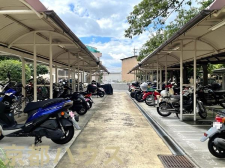 s{ssvv 542̒Ã}V̂̑p