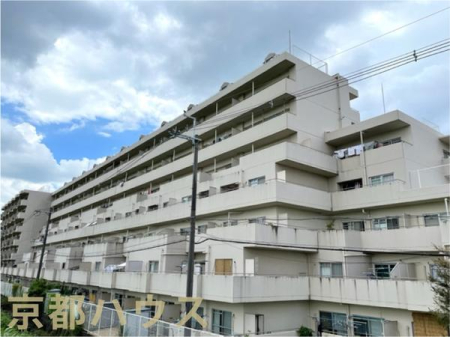 s{ssvv 542̒Ã}V̂̑