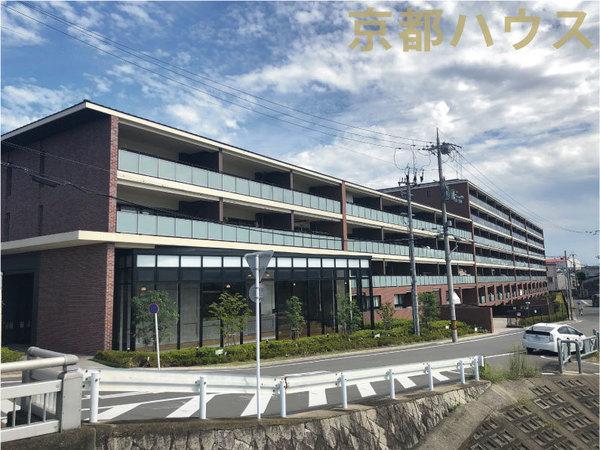 s{ssE搼ɒ牺 3Ԓn1̒Ã}V̌nOώʐ^