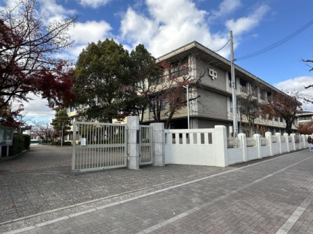 ���s�{���s�s�����搼�m���k�~���̓y�n�̎��ӊ�