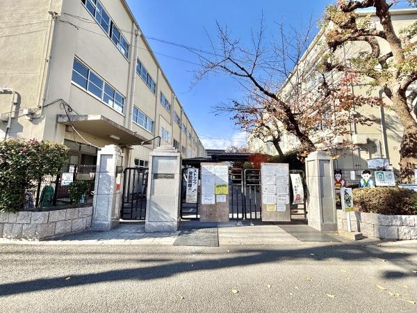 s{ssE搼ɖk̓yn̎ӊ