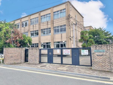 s{ssE搼ɉ͌̐VzˌĂ̎ӊ