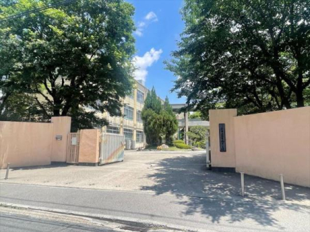 s{ssE搼ɉ͌̐VzˌĂ̎ӊ