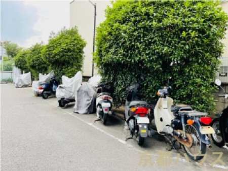 ���s�{���s�s���g�ˉ@�m�؃m�X�� 12�̒��Ã}���V�����̂��̑����p��