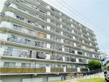 ���s�{���s�s���g�ˉ@�m�؃m�X�� 12�̒��Ã}���V�����̂��̑����n