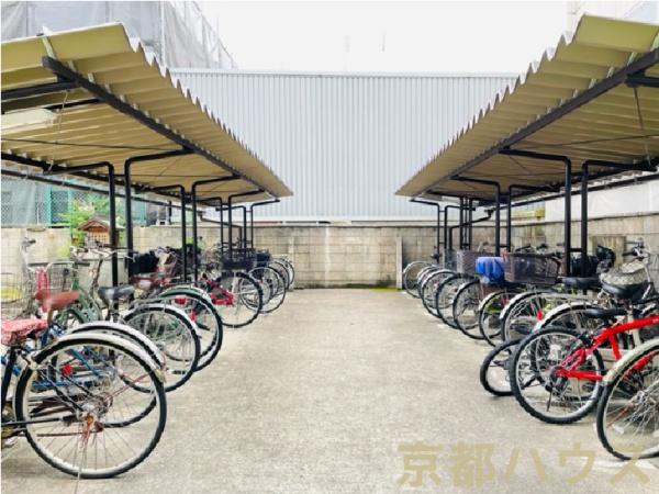 ���s�{���s�s���g�ˉ@�m�؃m�X�� 12�̒��Ã}���V�����̂��̑�