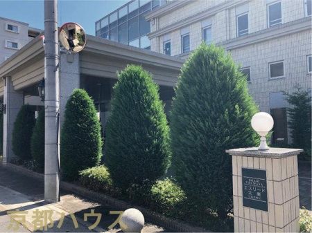 ���s�{���s�s�E���摾�`���p�c�� 2�̒��Ã}���V�����̉摜