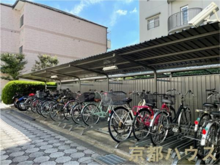 ���s�{���s�s��擂����e�� 29-1�̒��Ã}���V�����̂��̑����p��