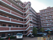 ���s�{���s�s�����操�R���O��21-5�̒��Ã}���V�����̉摜