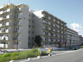 ���s�{���s�s���v����v����542�̒��Ã}���V�����̌��n�O�ώʐ^