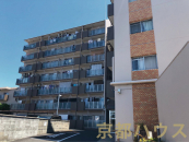 ���s�{���s�s������|�c�����쒬29�̒��Ã}���V�����̉摜