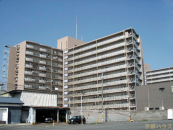 ���s�{���s�s������[�����Y��2����2�̒��Ã}���V�����̉摜