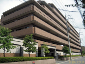 ���s�{���s�s������V��11���� 337�̒��Ã}���V�����̉摜