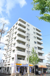 ���s�{���s�s�R�ȋ擌�씪������21�̒��Ã}���V�����̌��n�O�ώʐ^