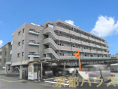 ���s�{���s�s�E���摾�`��m����1-19�̒��Ã}���V�����̉摜