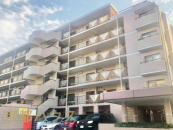 ���s�{���s�s�E���摾�`�I����10-187�̒��Ã}���V�����̉摜