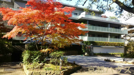 ���s�{���s�s���R�戾�c���O��V��21�̒��Ã}���V�����̌��n�O�ώʐ^