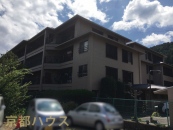 ���s�{���s�s�����旒�R��������12-1�̒��Ã}���V�����̉摜