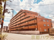 ���s�{���s�s�E���搼���ɕl�m�{��64�̒��Ã}���V�����̉摜