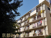 ���s�{���P�S��R�蒬�~���������O�̒��Ã}���V�����̉摜