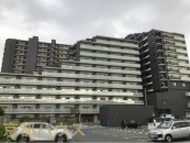 ���s�{�����s���˒����ς̒��Ã}���V�����̉摜