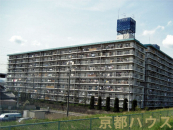 ���s�{���s�s�����扡��H���O���R�a66�̒��Ã}���V�����̉摜