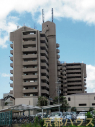 ���s�{���s�s������v��{��12�̒��Ã}���V�����̌��n�O�ώʐ^