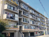 ���s�{�������s���̋��̒��Ã}���V�����̉摜