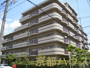 ���s�{���s�s�����搼���𐼋v�ے�23�̒��Ã}���V�����̌��n�O�ώʐ^