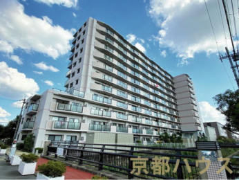 ���s�{���s�s�E����R�m���c�� 40��1�̒��Ã}���V�����̌��n�O�ώʐ^