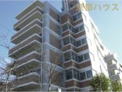 ���s�{���s�s�����搼�m�����x�r��3-2�̒��Ã}���V�����̉摜